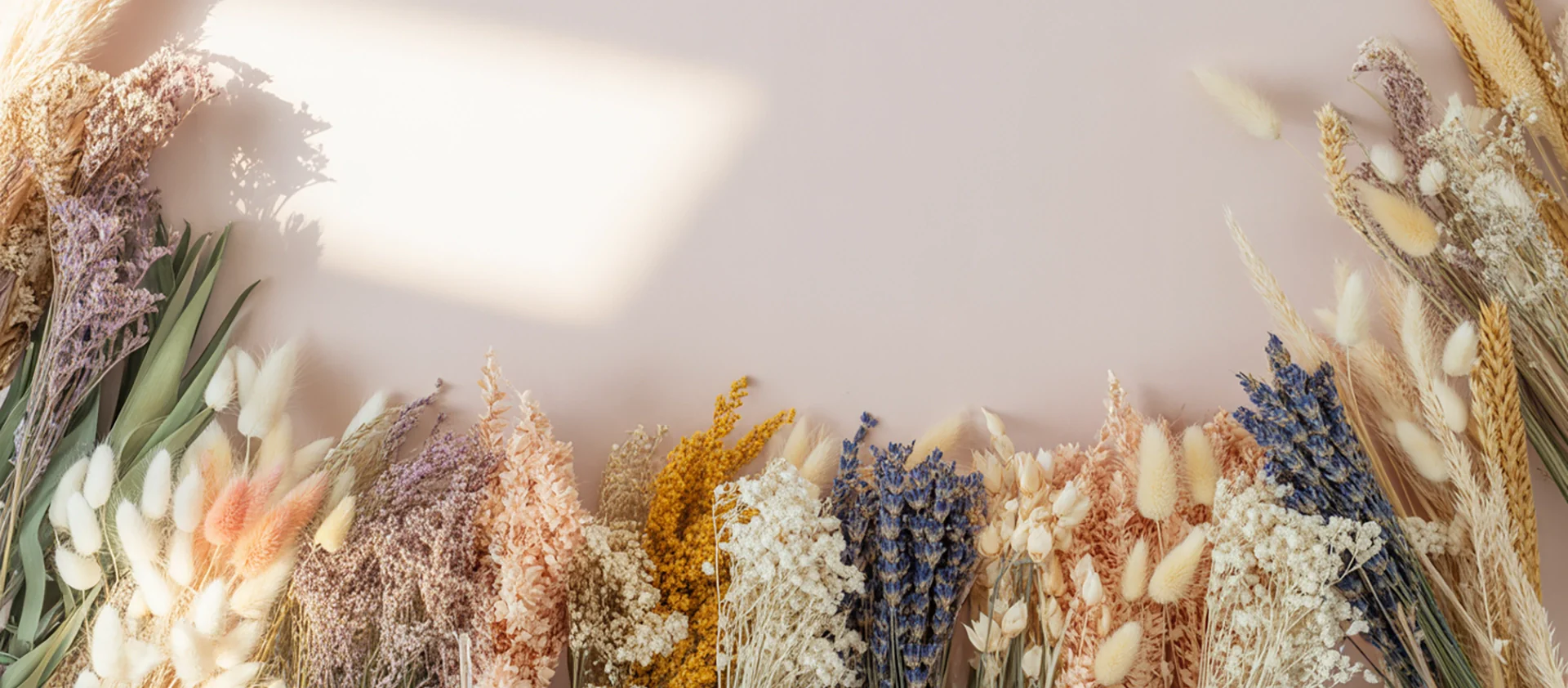 Timeless Blooms, Wholesale Prices