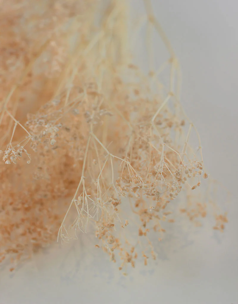 Preserved Gypsophila - Salmon Bunch, 70 cm - Image 3