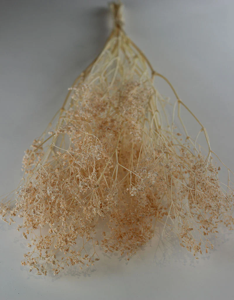 Preserved Gypsophila - Salmon Bunch, 70 cm - Image 4