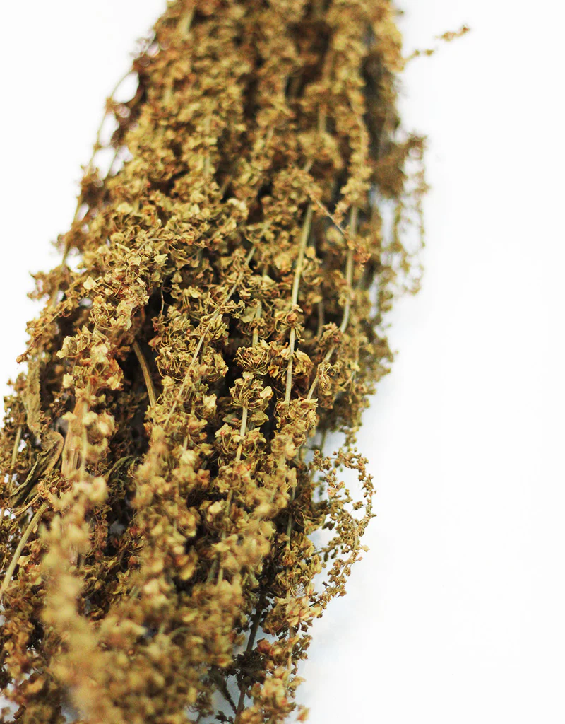 Dried Abetona Romice - Natural bunch, 70cm - Image 2