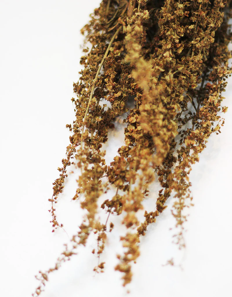 Dried Abetona Romice - Natural bunch, 70cm - Image 3