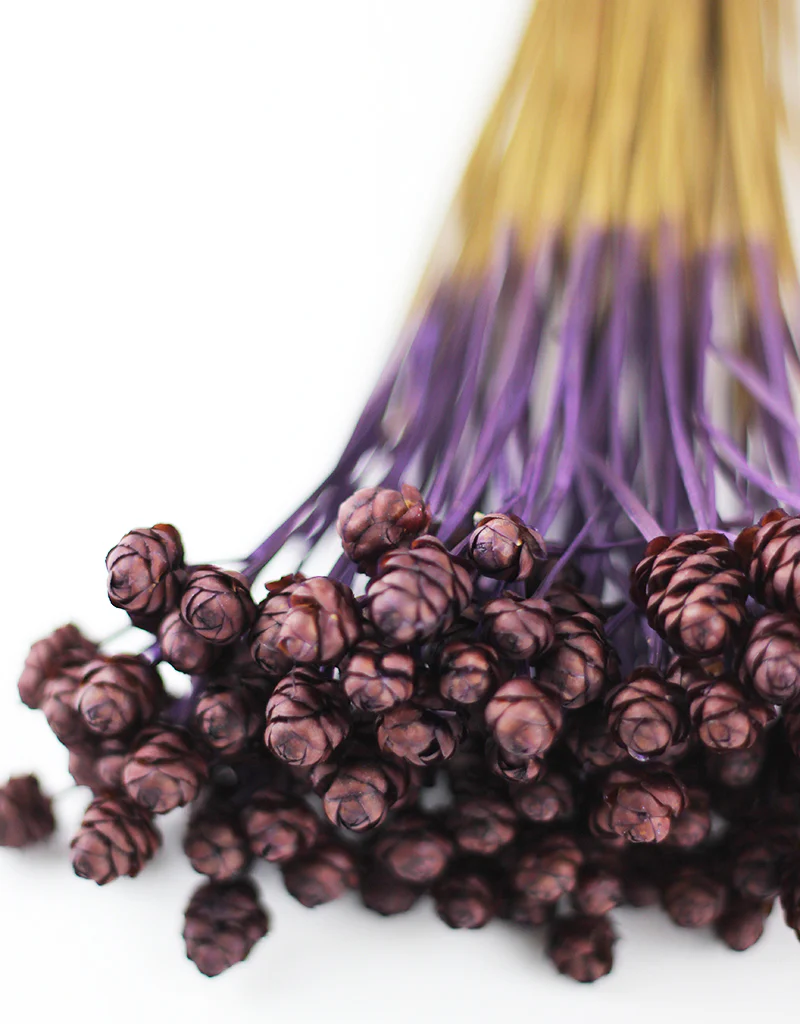 Dried Acacia Flowers Bunch- Dark Purple, 45 cm - Image 2