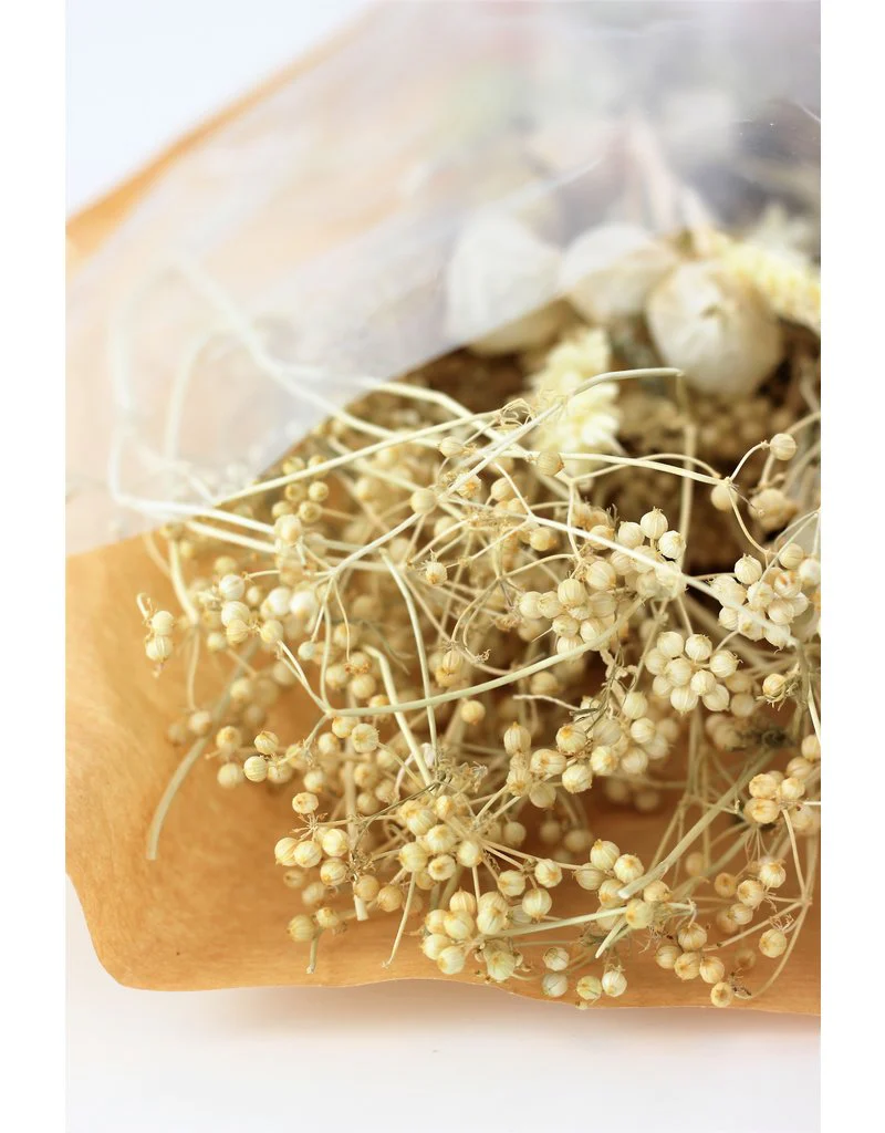 A Dried Babala Bouquet - Bleached Large Selection, 60 cm - Image 2