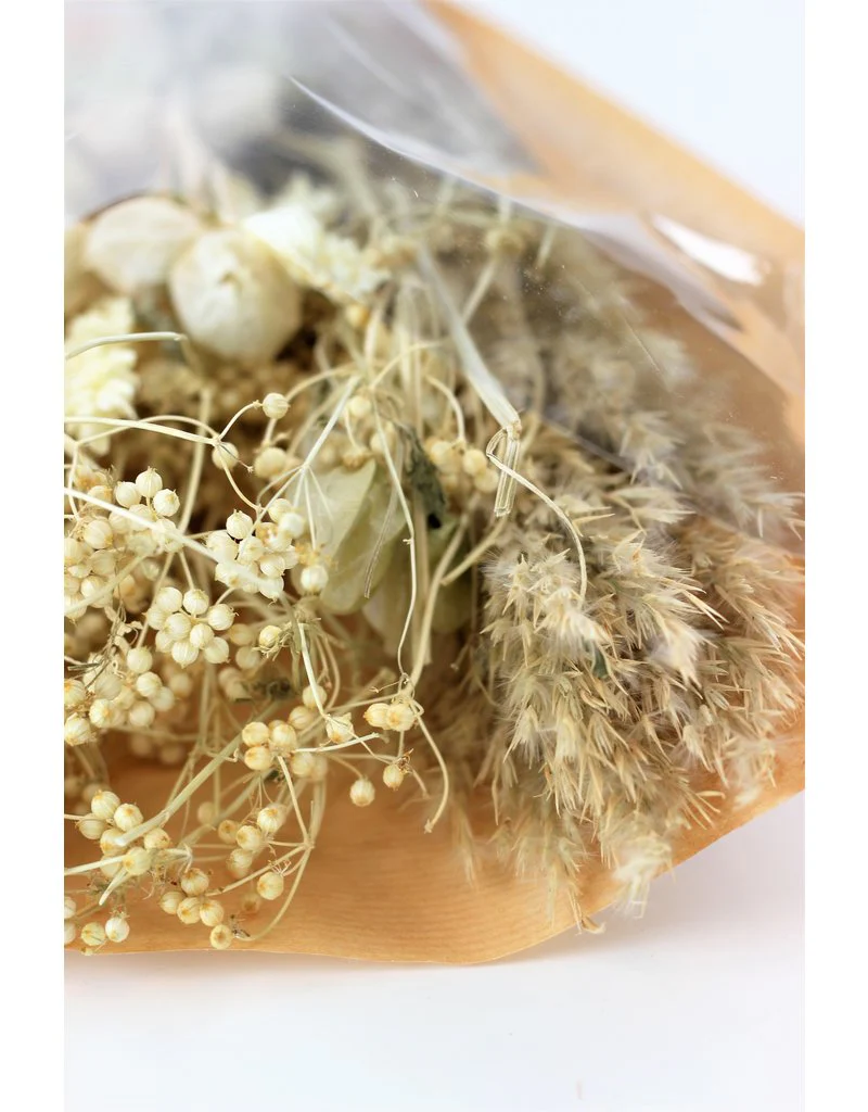 A Dried Babala Bouquet - Bleached Large Selection, 60 cm - Image 3