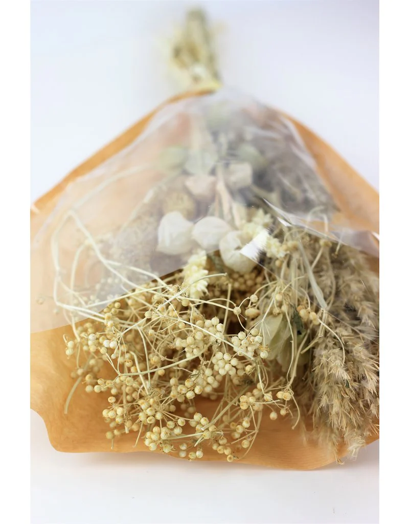 A Dried Babala Bouquet - Bleached Large Selection, 60 cm - Image 4