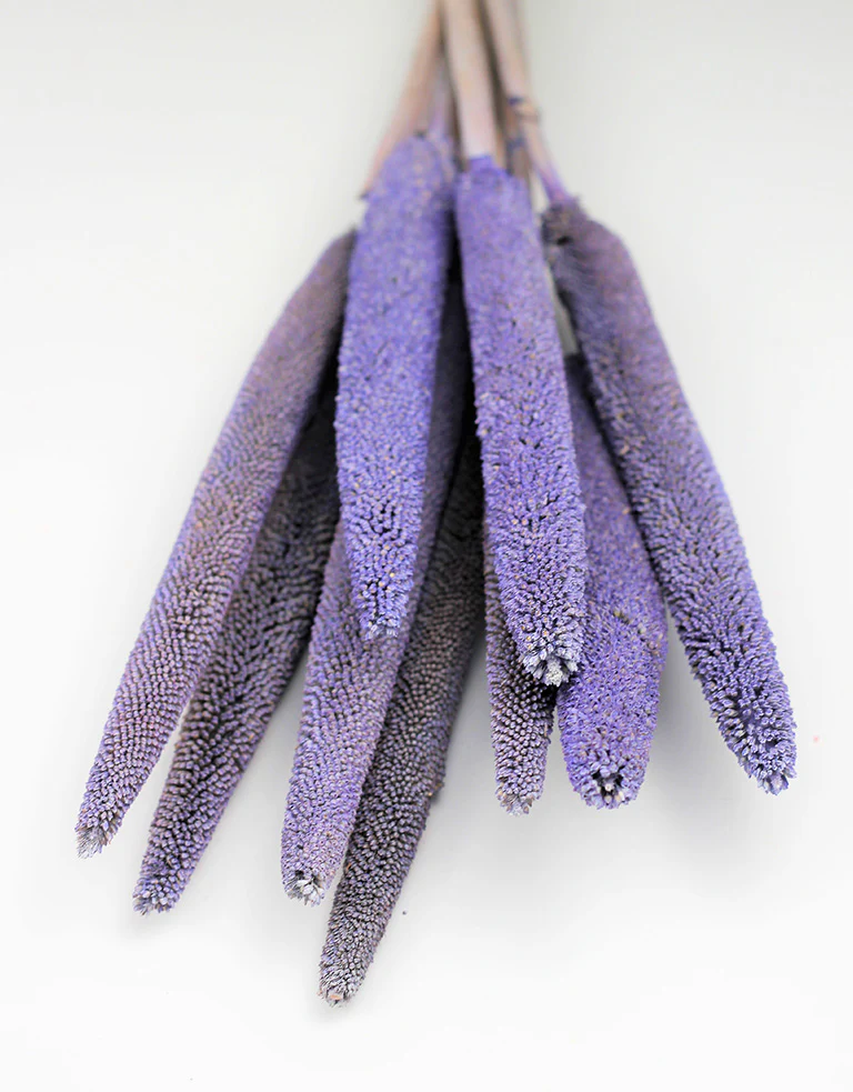 Dried Babala - Lilac Bunch, 10 stems, 70 cm - Image 3