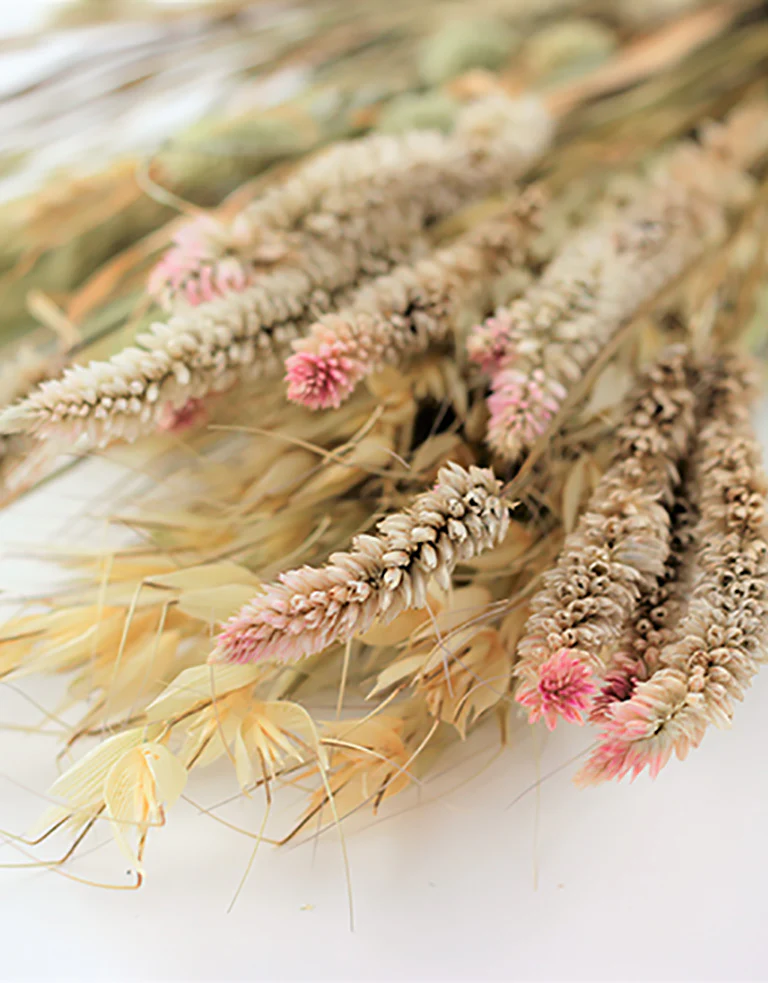 Dried Bouquet - Bunny, 55 cm - Image 3