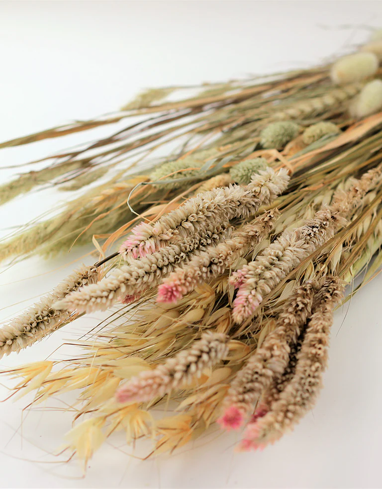 Dried Bouquet - Bunny, 55 cm - Image 4