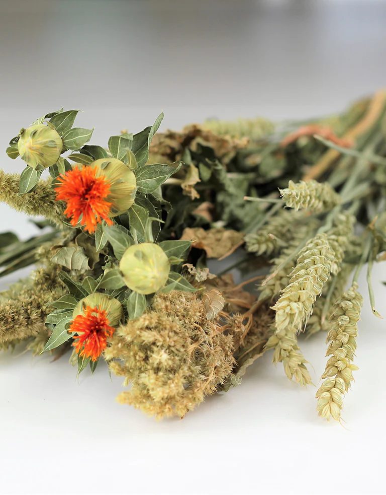 Dried Bouquet - Carthamus Lou Lou, 50 cm - Image 2