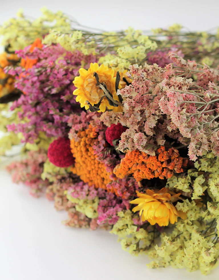 Dried Bouquet - Wera, 50 cm - Image 3