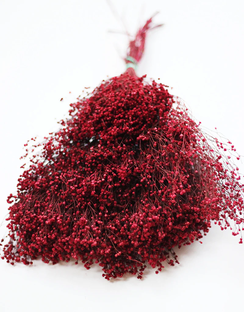 Dried Broom Bloom - Burgundy/Bordeaux Flower Bunch, 60 cm - Image 2