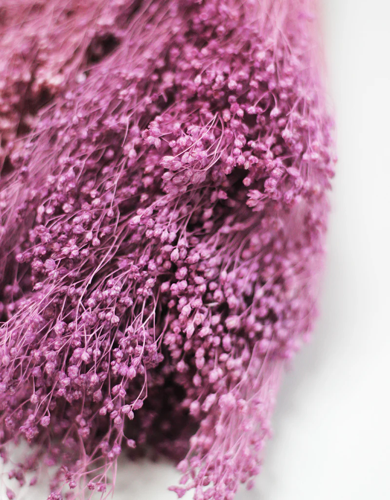 Dried Broom Bloom - Lilac Flowers bunch, 45cm - Image 3