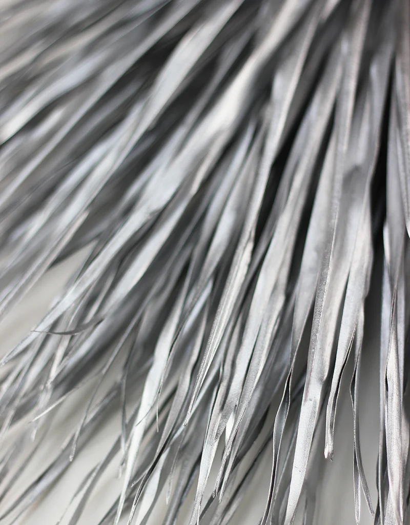 Dried Chamaerops Palm - Silver, 8 stems, 75cm - Image 3