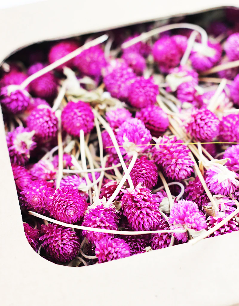 Dried Gomphrena Heads - Cerise Pink/ Lilac , 450 grams - Image 3