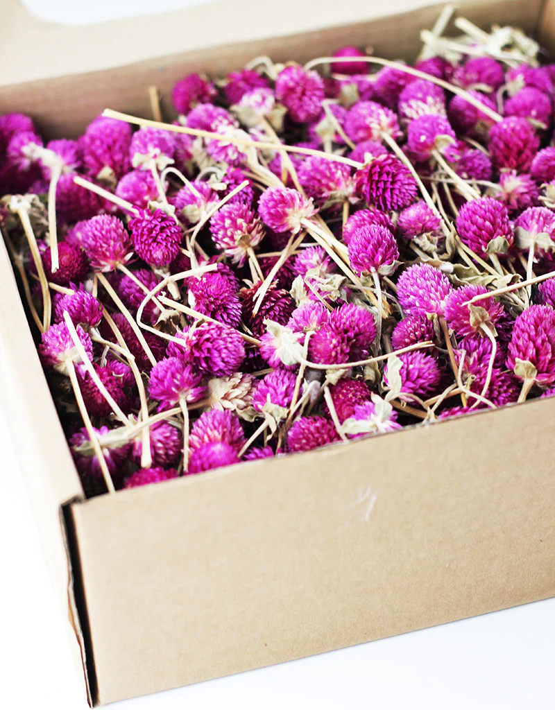 Dried Gomphrena Heads - Cerise Pink/ Lilac , 450 grams - Image 6