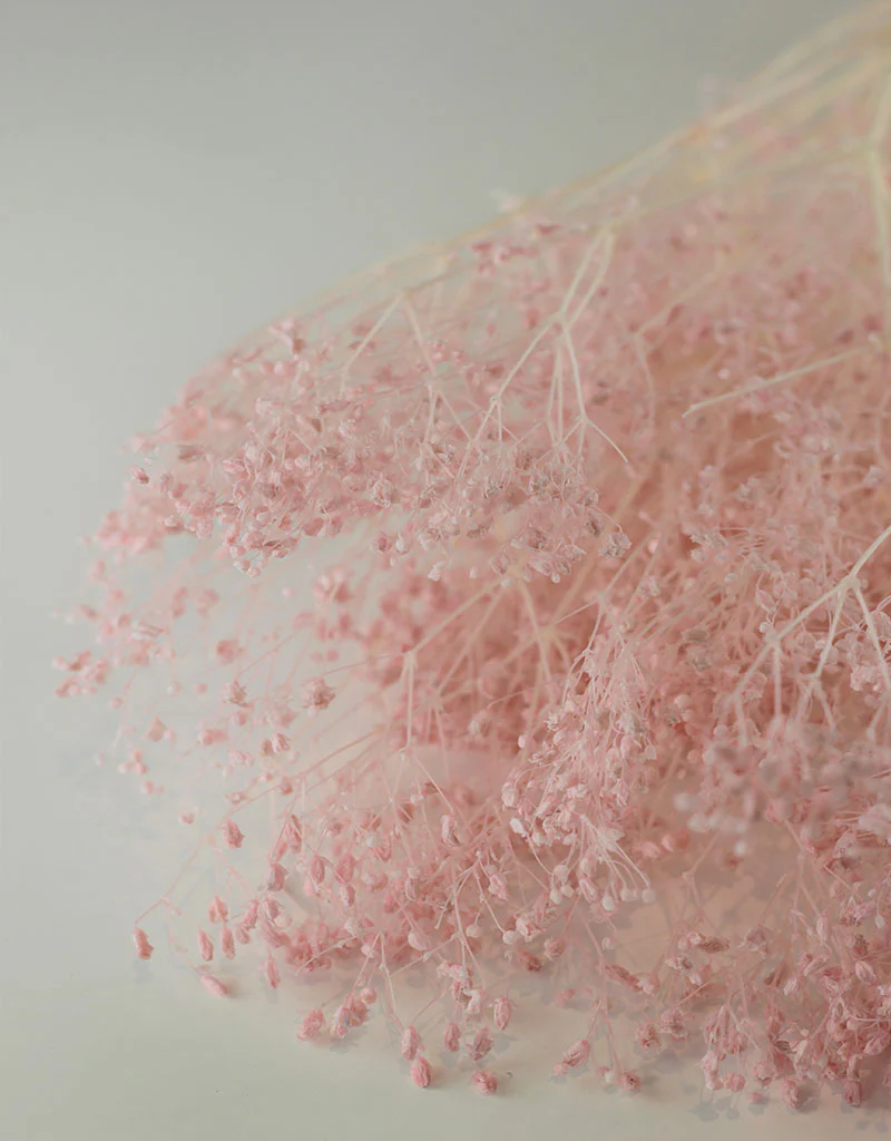Preserved Gypsophila - Light Pink Bunch, 70 cm - Image 2