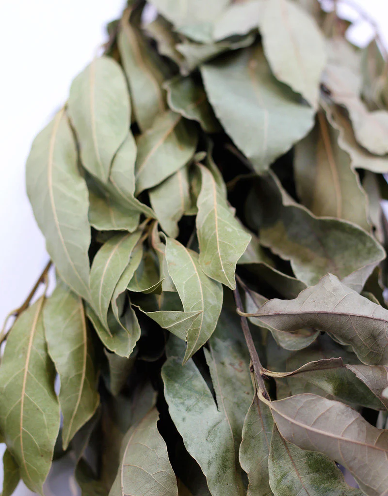 Dried Laurier Bay Leaf - Natural Bunch, 45 cm - Image 2