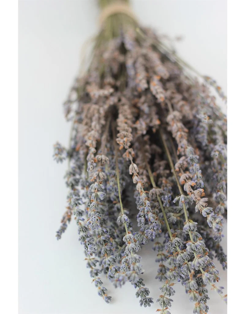 Dried Lavender - Light Blue, 100 grams, 45 cm - Image 3