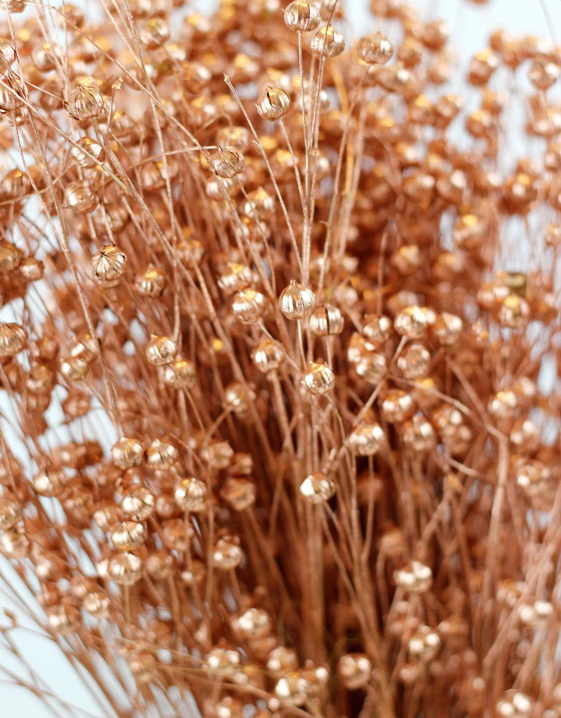 Dried Lino Vlas - Copper Sleeved Bunch, 50 cm - Image 3