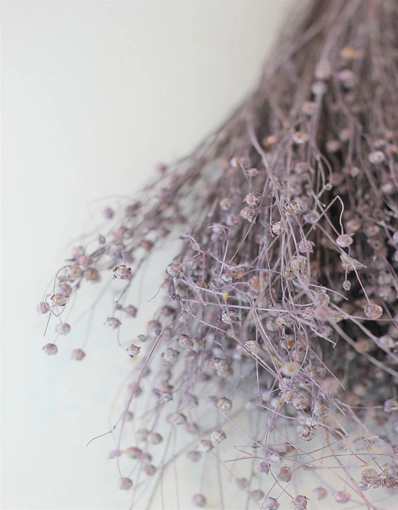 Dried Lino Vlas - Lilac Bunch, 60 cm - Image 2
