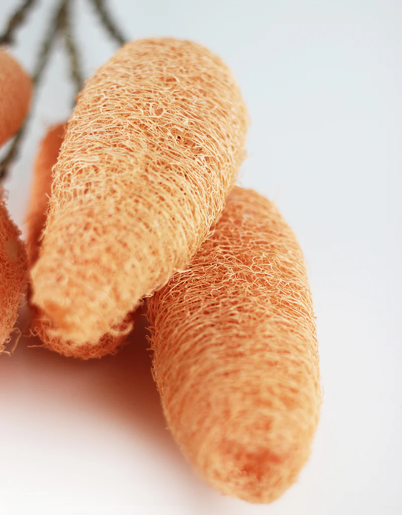 Dried Luffa (Loofah) - 5 stems, 60 cm length, Peach - Image 3