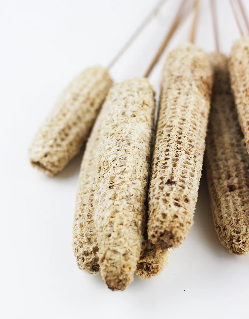 Dried Maize Bunch- 10 stems, Natural, 60 cm - Image 3