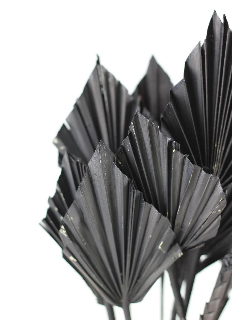 Mini Dried Palm Spears - Black, 10 Stems, 45 cm - Image 2