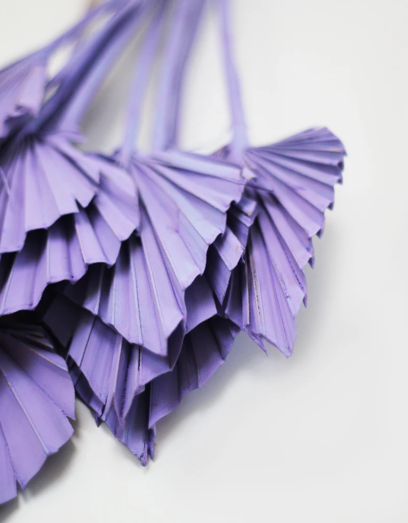 Dried Mini Palm Spears - Lilac, 10 Stems, 45cm - Image 2