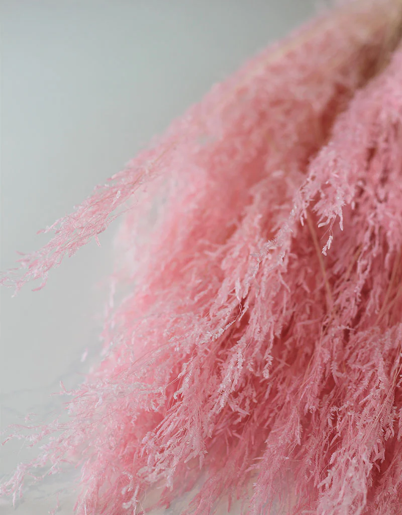 Dried Munni Grass - Baby Pink Bunch, 60 cm - Image 2