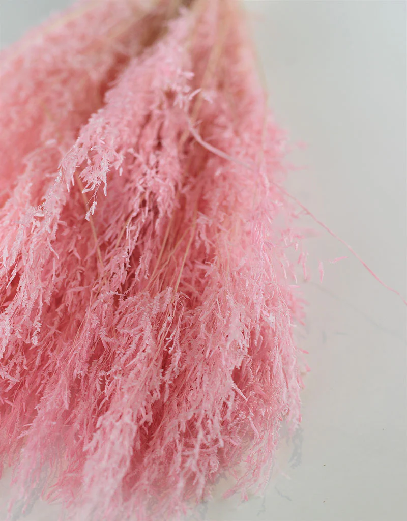 Dried Munni Grass - Baby Pink Bunch, 60 cm - Image 3
