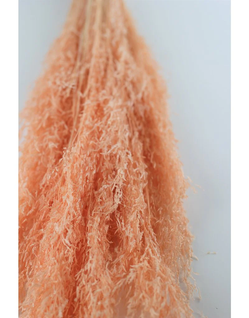 Dried Munni Grass - Salmon Bunch, 60 cm - Image 2