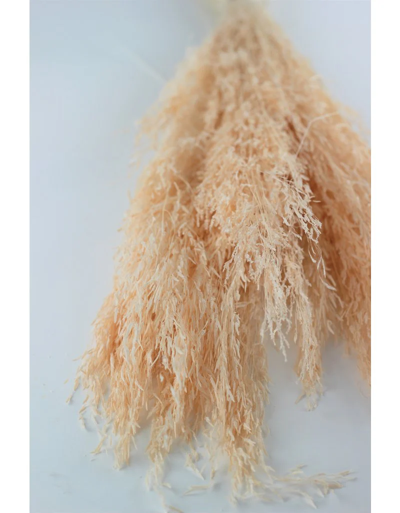 Dried Munni Grass - Soft Peach Bunch, 60 cm - Image 3