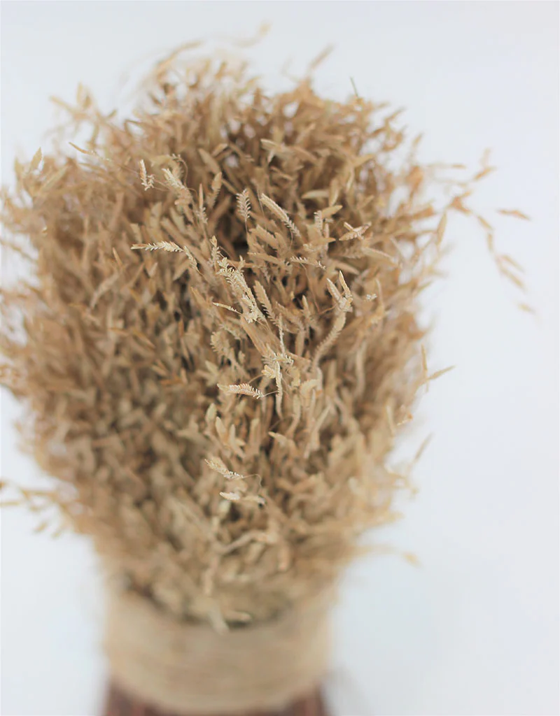 Dried Munni Grass Twig Sheaf - Natural, 20 cm - Image 2