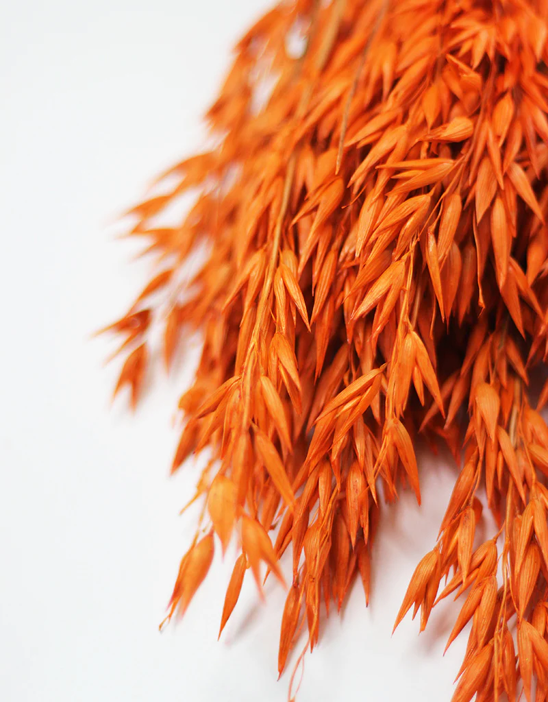 Dried Oat Avena - Orange Flowers Bunch, 50 cm - Image 3