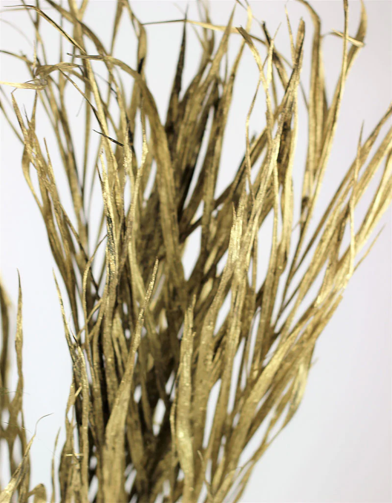 Dried Palm Leaf - Gold, 10 Stems, 70 cm - Image 3