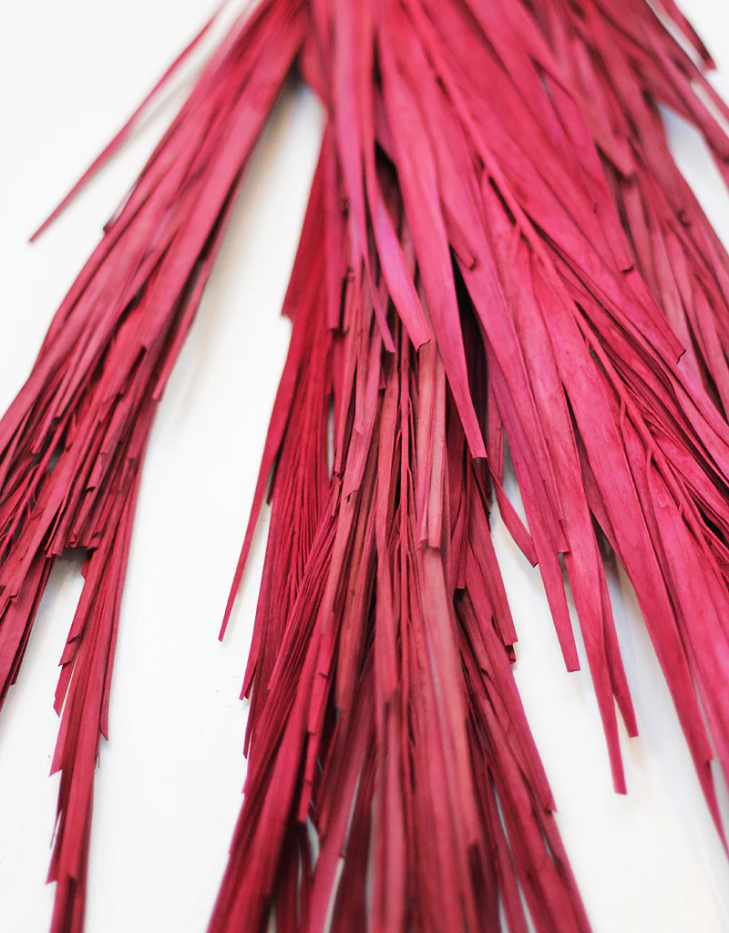 Dried Palm Leaf - Red Bunch, 10 stems, 60cm - Image 3