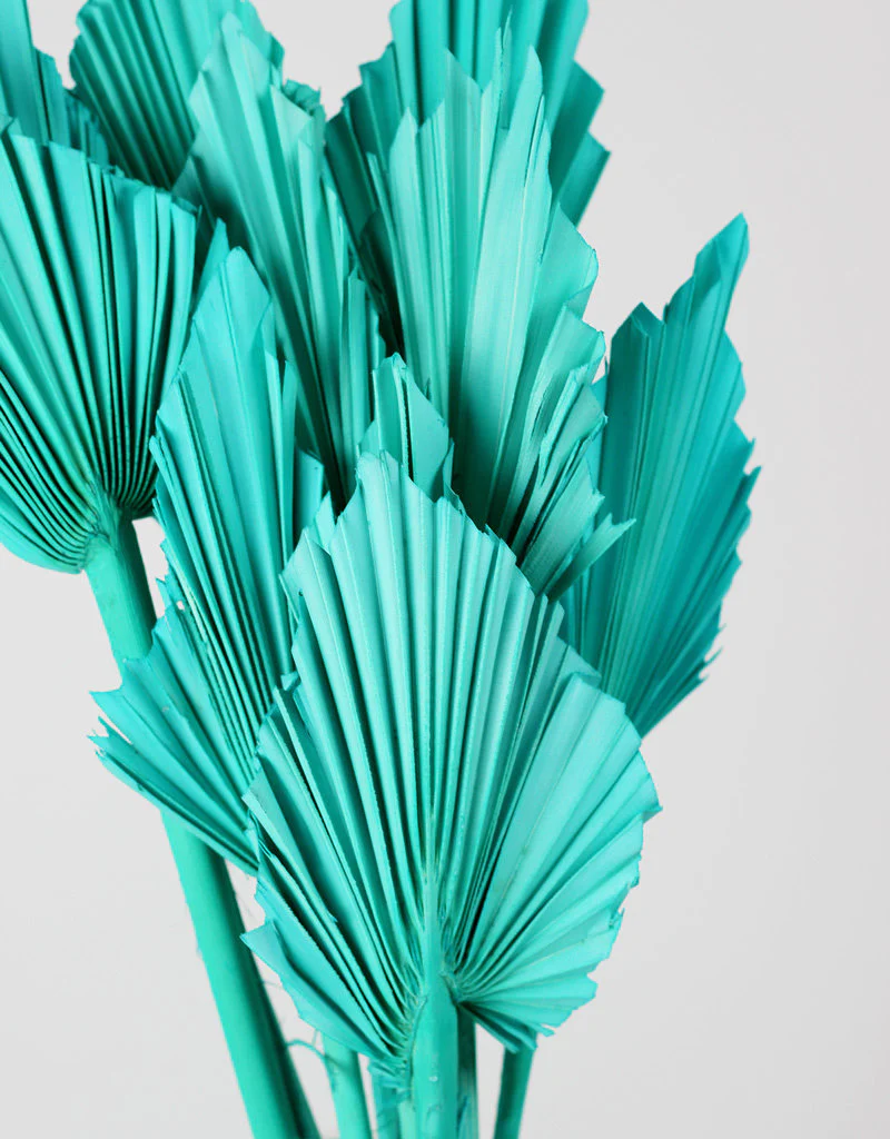 Dried Palm Spears - Aquamarine Blue, 10 Stems, 50 cm - Image 2