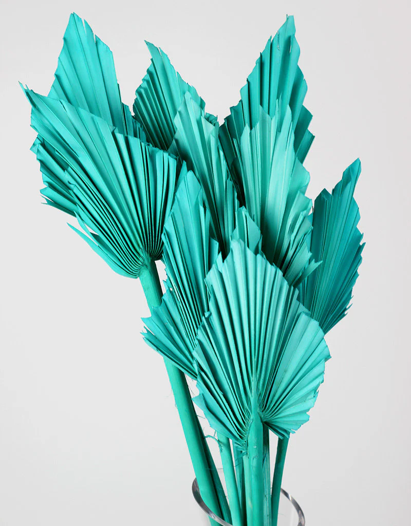 Dried Palm Spears - Aquamarine Blue, 10 Stems, 50 cm - Image 3