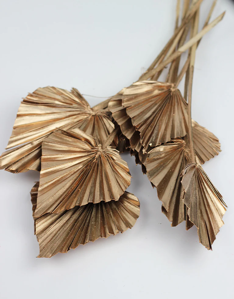 Dried Palm Spears - Gold, 55 cm, 10 stems - Image 3