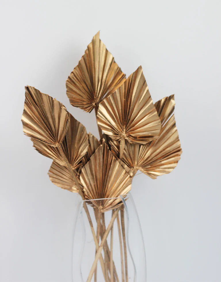 Dried Palm Spears - Gold, 55 cm, 10 stems - Image 4