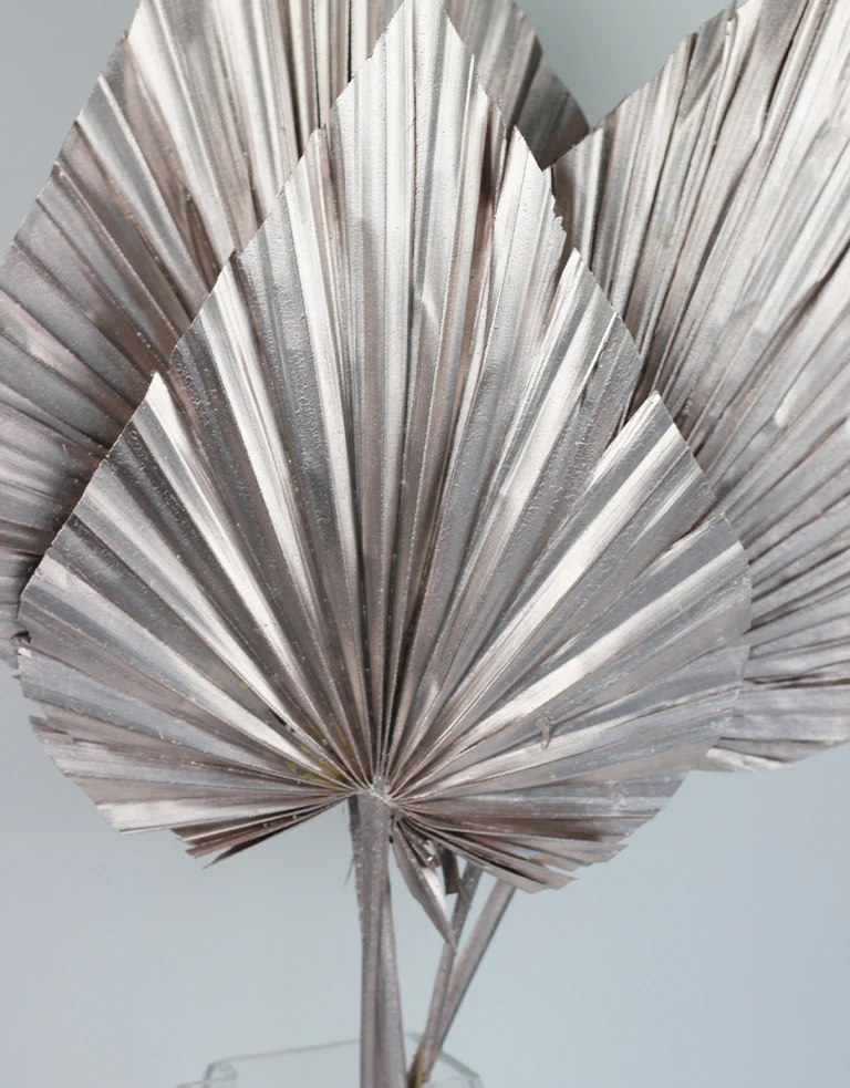 Dried Palm Spears - XL, Champagne, 70 cm, 5 stems, 25 cm width - Image 4
