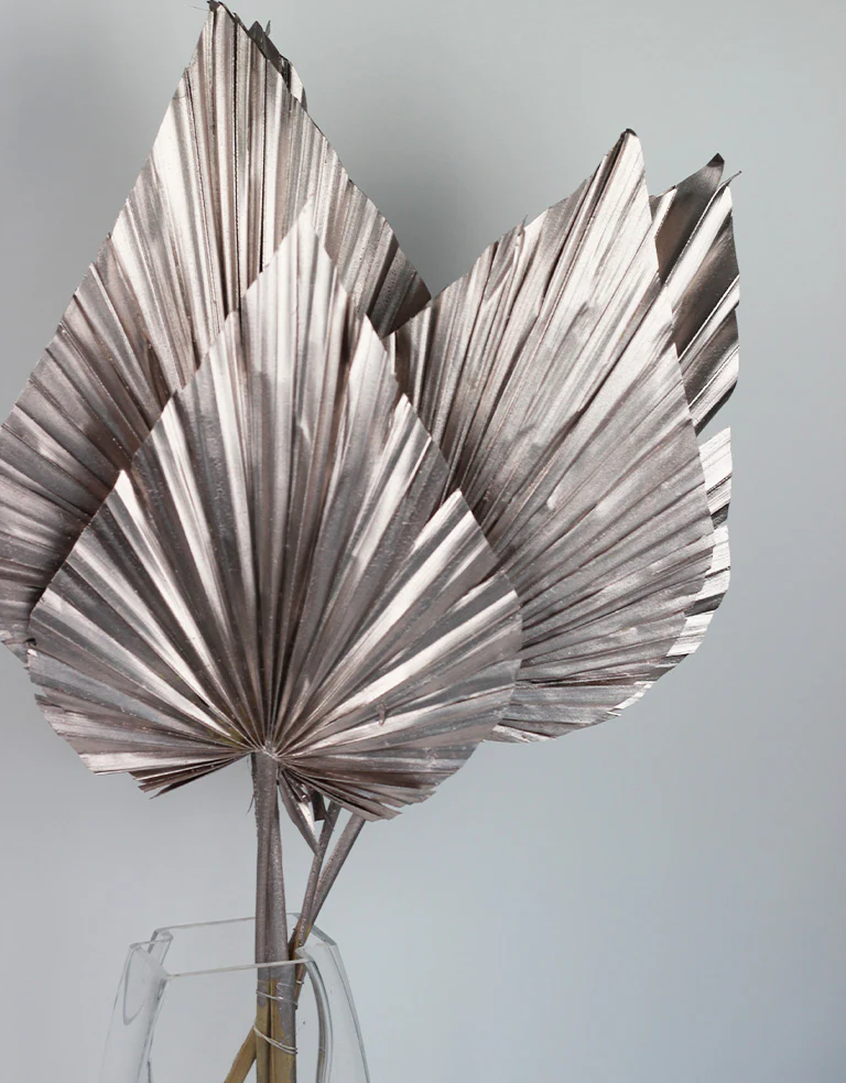 Dried Palm Spears - XL, Champagne, 70 cm, 5 stems, 25 cm width - Image 5