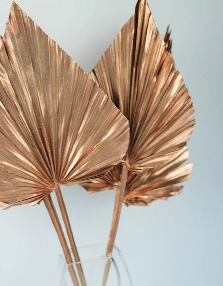 Dried Palm Spears - XL, Copper, 70 cm, 5 stems, 25 cm width - Image 4