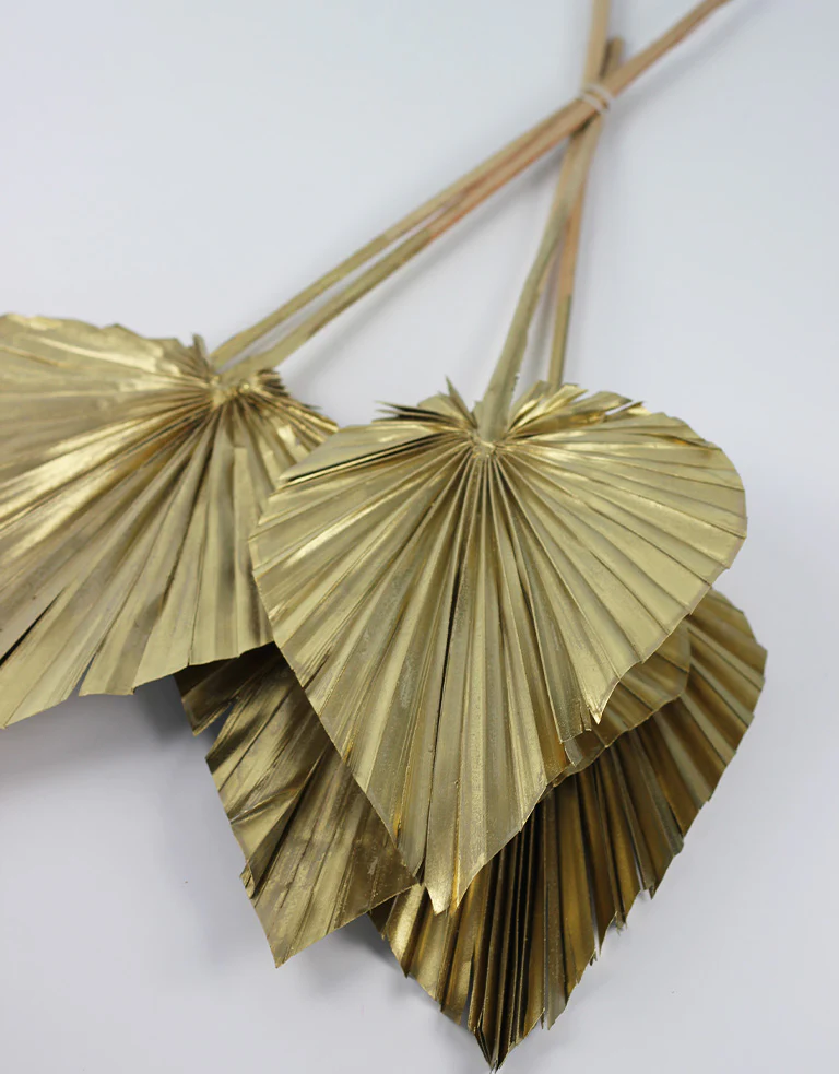Dried Palm Spears - XL, Gold, 70 cm, 5 stems, 25 cm width - Image 2