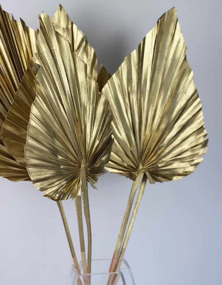Dried Palm Spears - XL, Gold, 70 cm, 5 stems, 25 cm width - Image 3