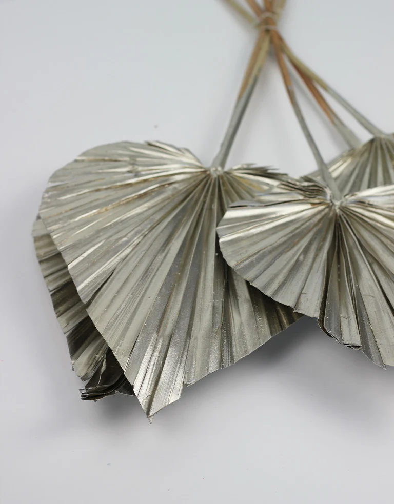 Dried Palm Spears - XL, Platinum, 70 cm, 5 stems, 25 cm width - Image 4