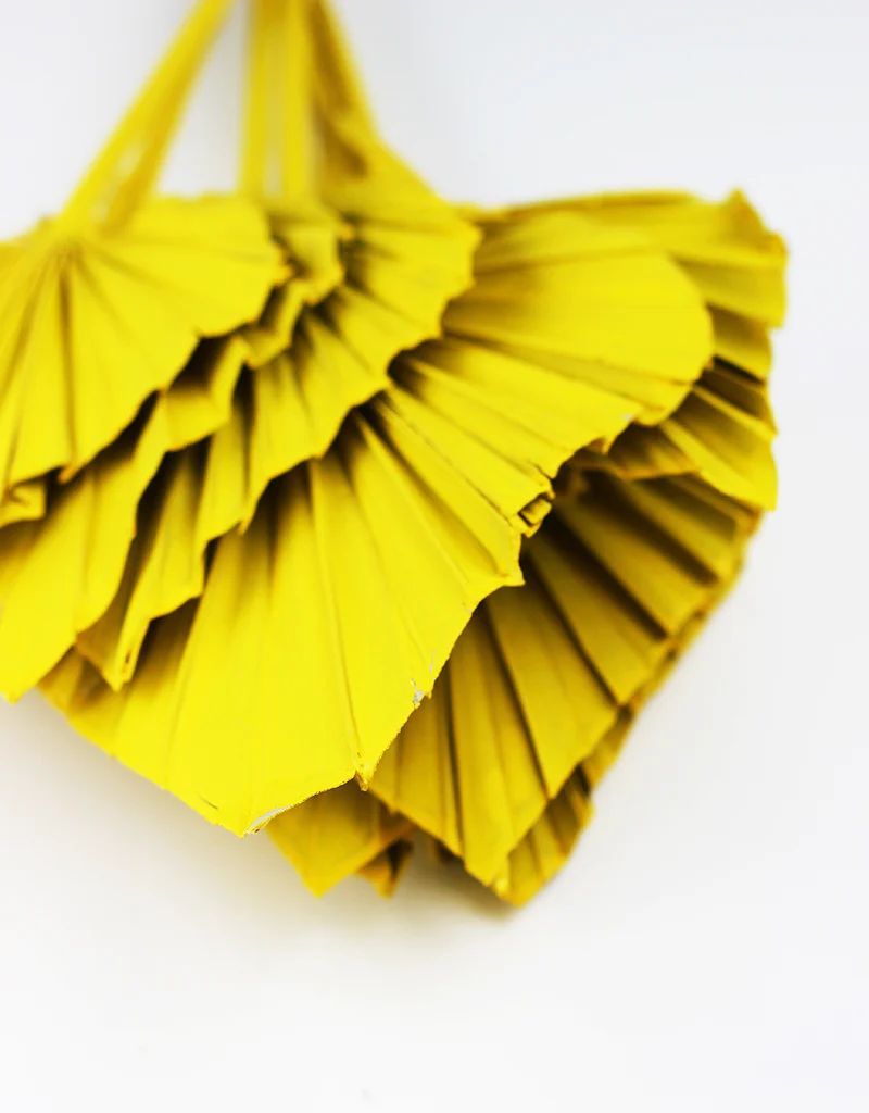 Dried Palm Spears - Yellow, 10 Stems, 50 cm - Image 3