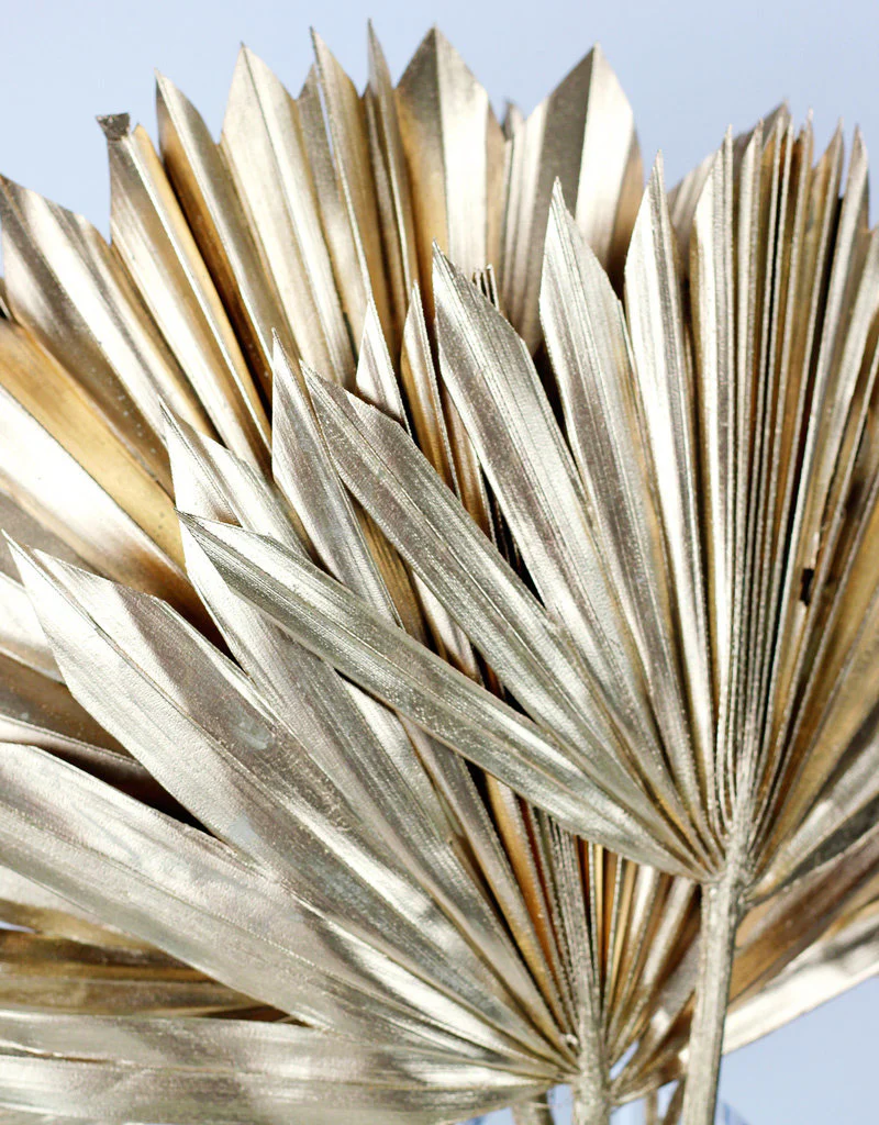 Dried Sun Palms - Antique Gold, 6 Stems, 60 cm - Image 2