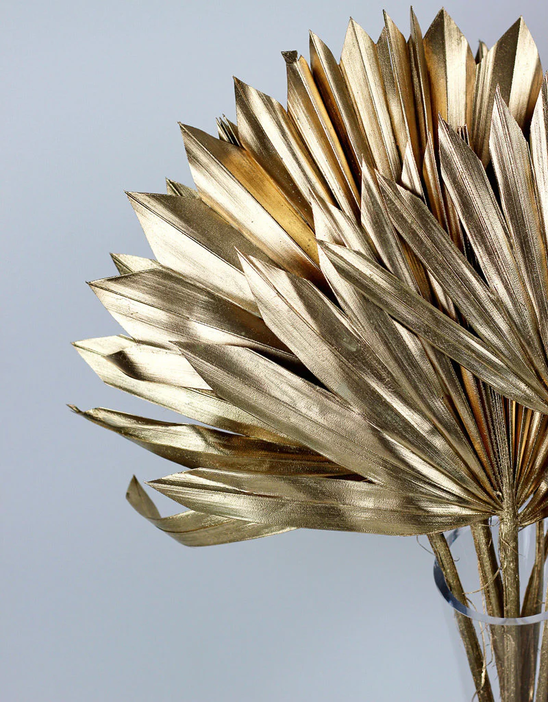 Dried Sun Palms - Antique Gold, 6 Stems, 60 cm - Image 3