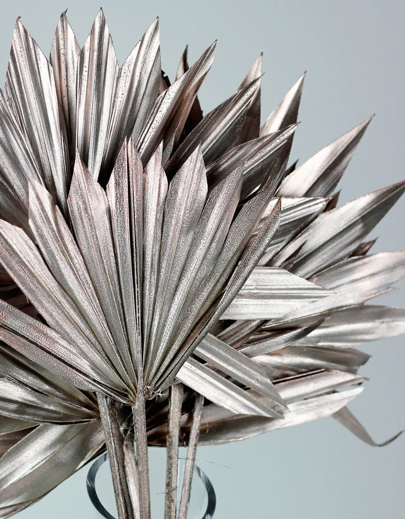 Dried Sun Palms  - Champagne, 6 Stems, 60 cm - Image 2